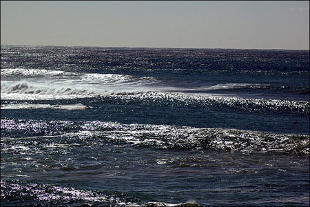 01_big_surf_045