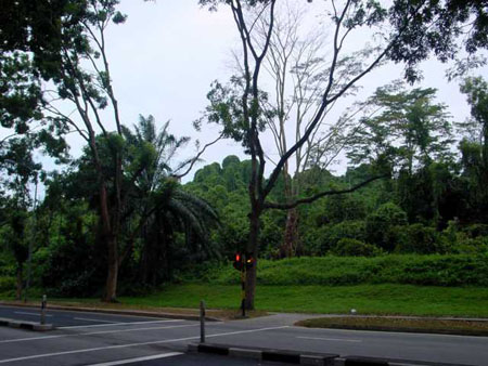 bukit_batok_65